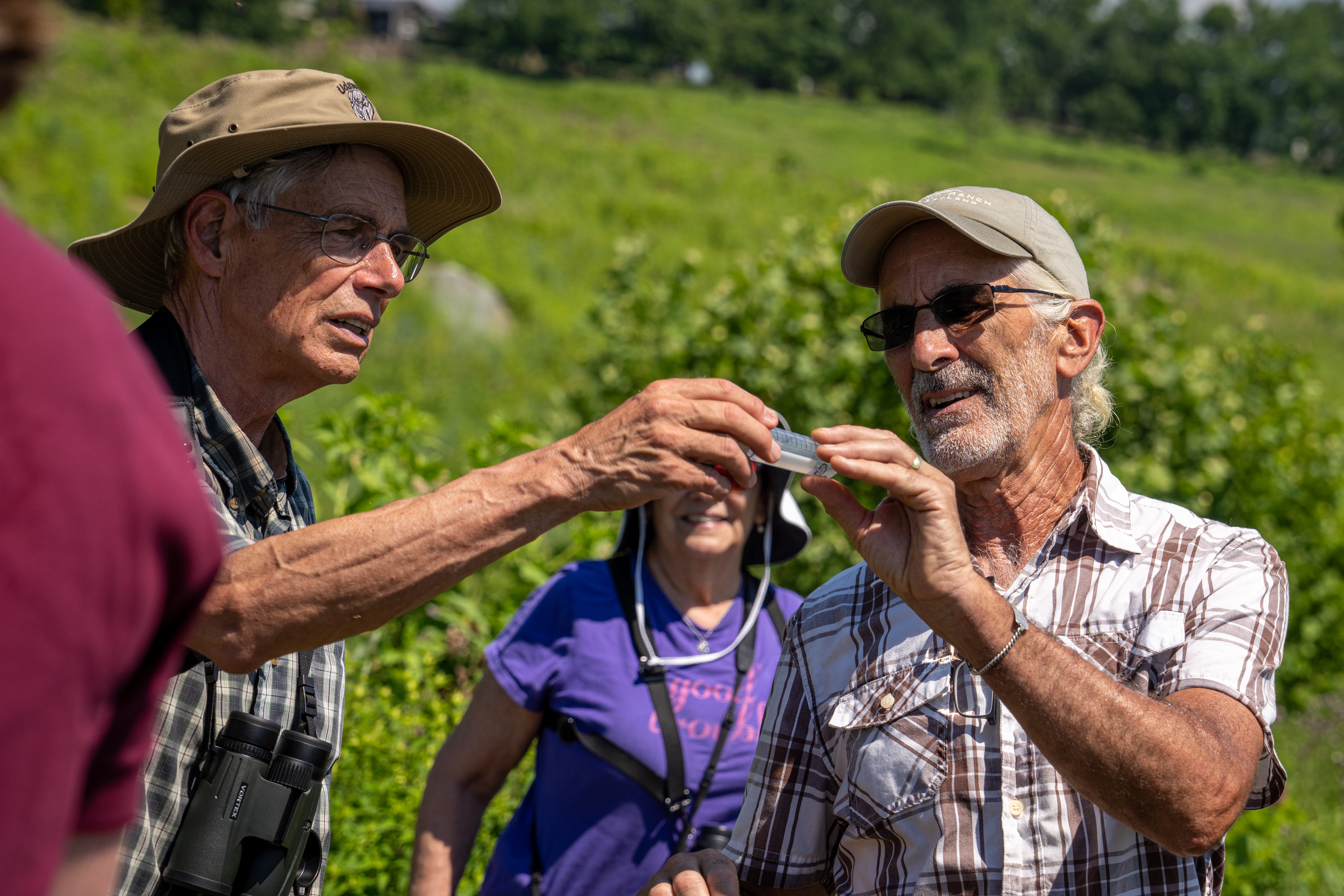 Participants inspecting a captured insect in a vial