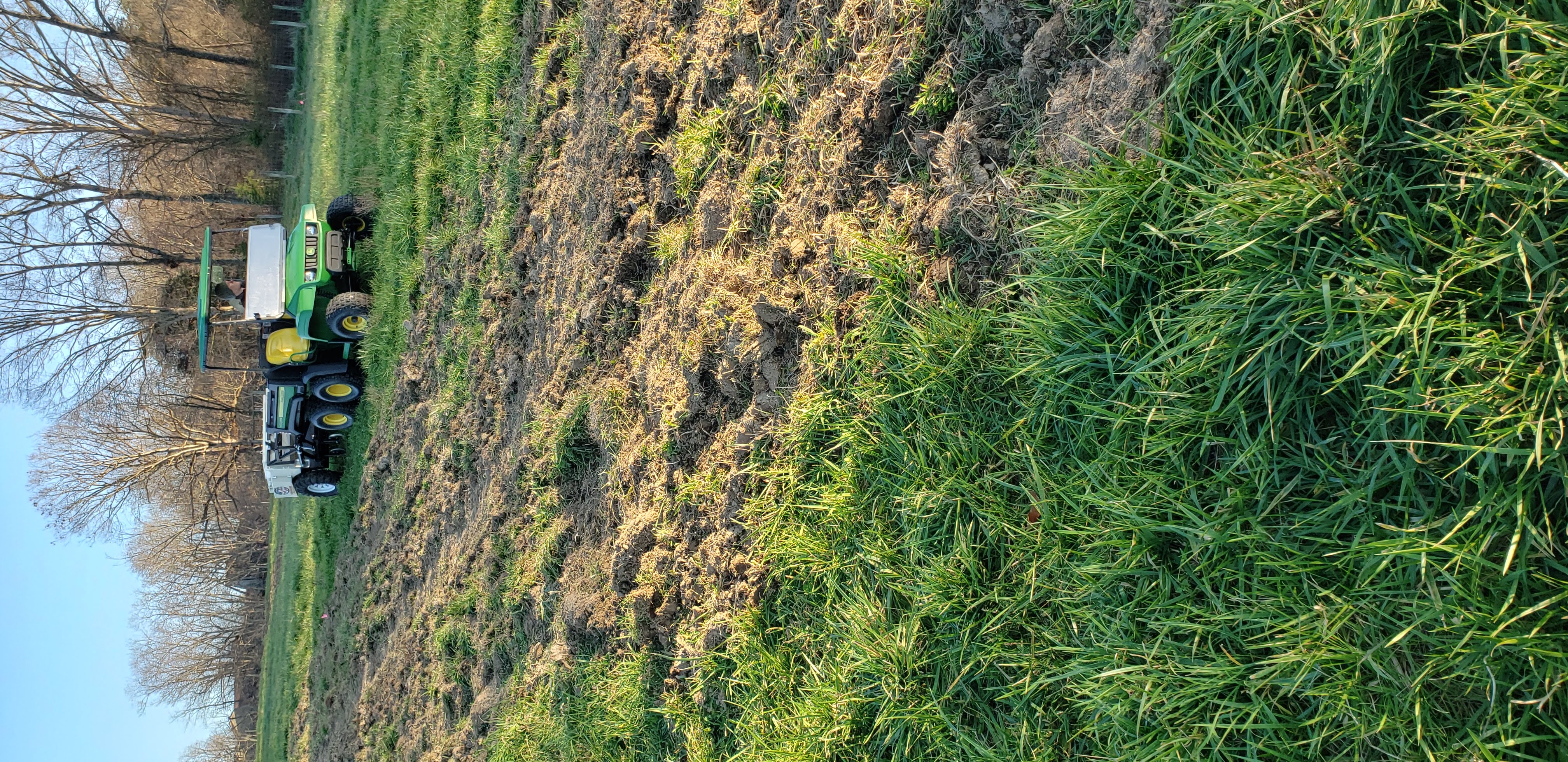 Planting drill being used in grassy field