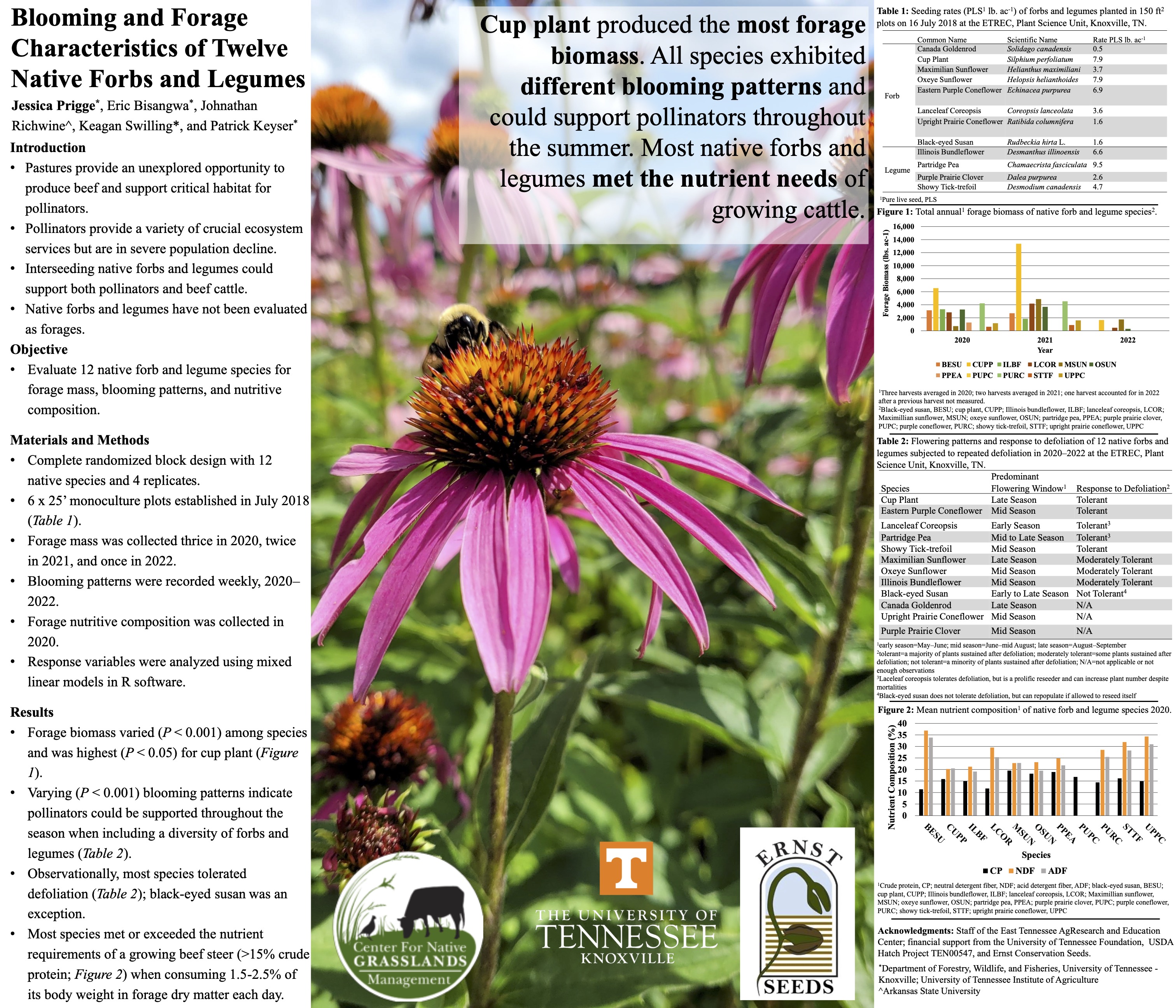 Research poster by PhD student Jessica Prigge